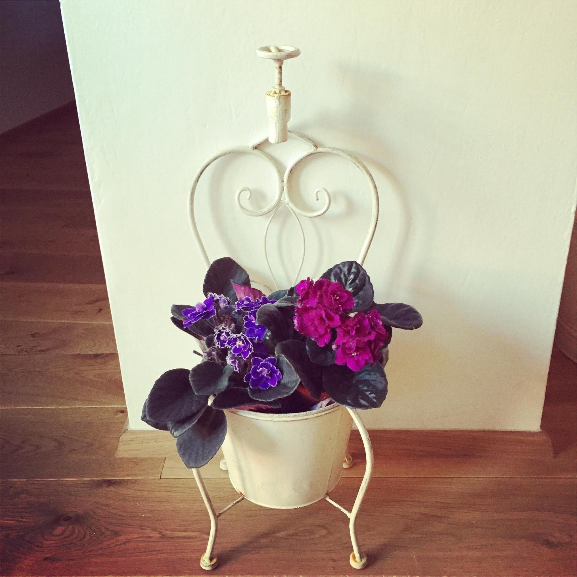 Apartament Old Town Boutique *