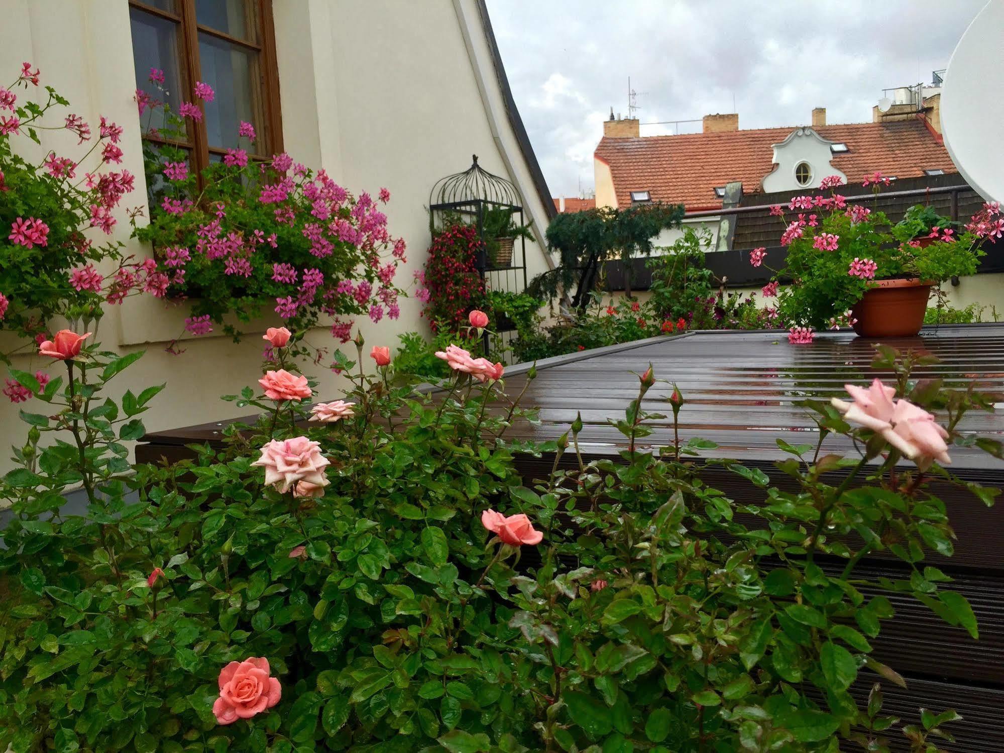 Apartament Old Town Boutique Praga